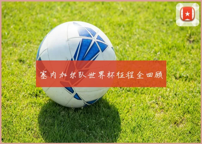 塞内加尔队世界杯征程全回顾