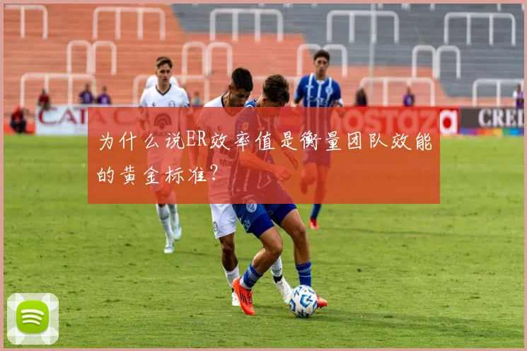 为什么说ER效率值是衡量团队效能的黄金标准？