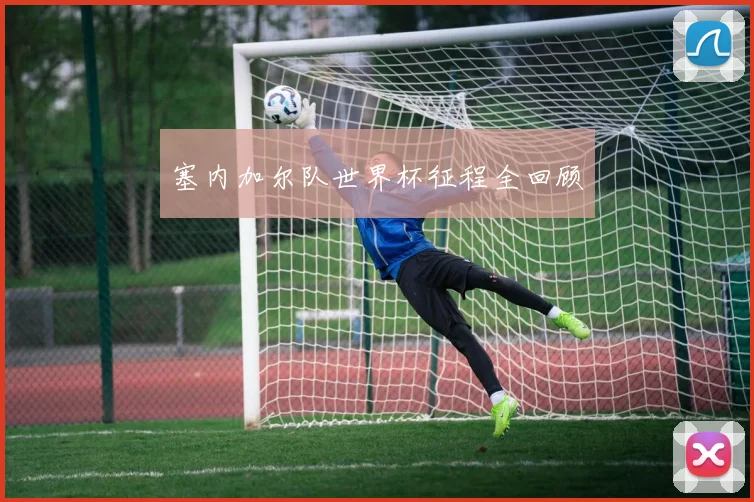 塞内加尔队世界杯征程全回顾
