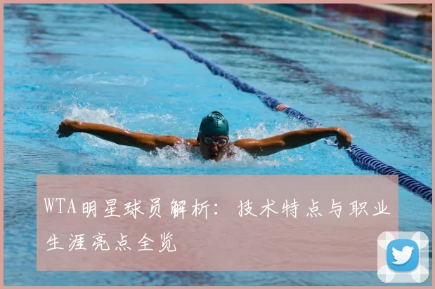 WTA明星球员解析：技术特点与职业生涯亮点全览